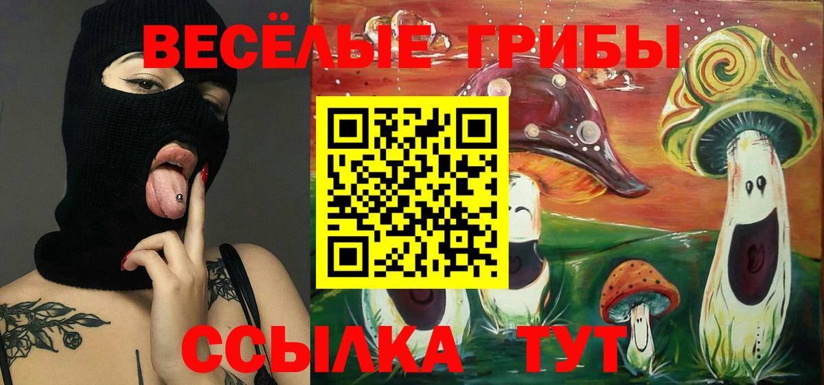 Галлюциногенные грибы GOLDEN TEACHER  Вход с VPN  Шатура 